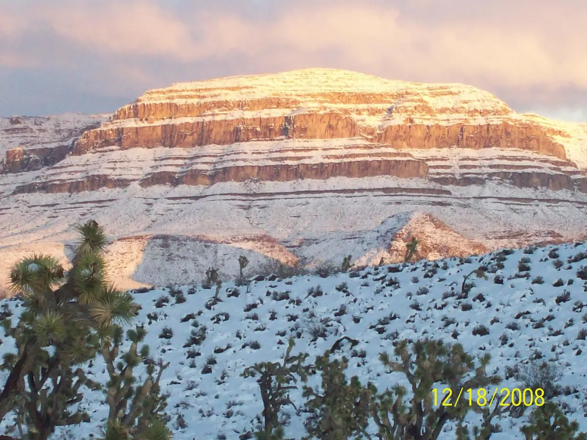 Snow-covered desert plateau with Joshua trees and a banded mesa in winter